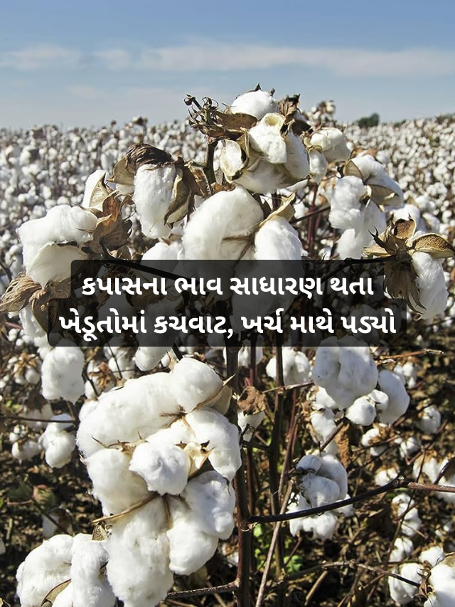 farmer news